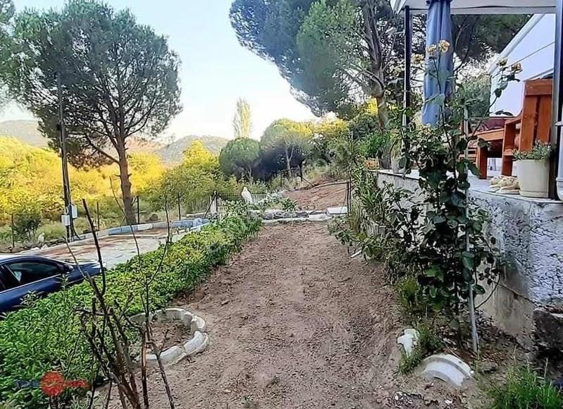 Dikili Kıroba Köyünde Satılık Zeytinlik Prefabrik Evli Mülk - Görsel 12
