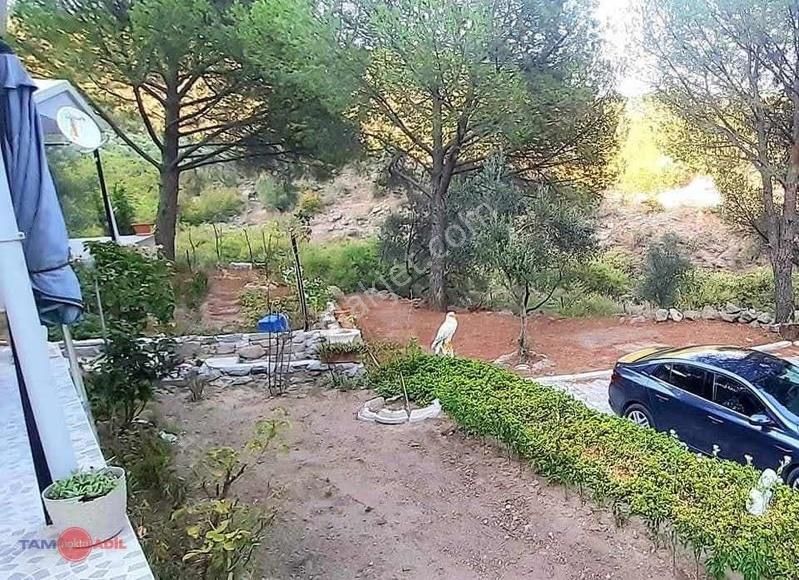 Dikili Kıroba Köyünde Satılık Zeytinlik Prefabrik Evli Mülk - Görsel 10