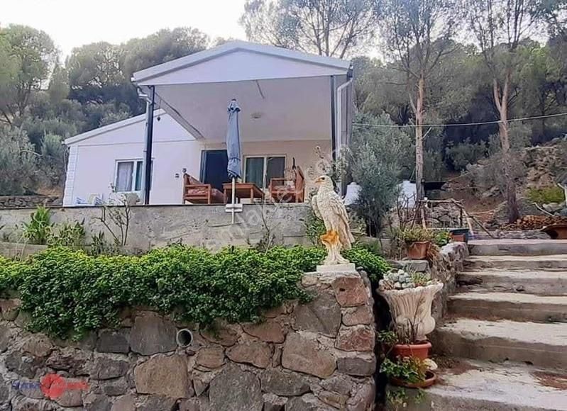 Dikili Kıroba Köyünde Satılık Zeytinlik Prefabrik Evli Mülk - Görsel 23