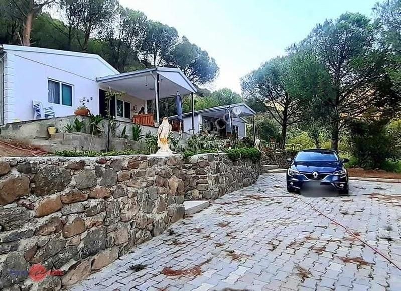 Dikili Kıroba Köyünde Satılık Zeytinlik Prefabrik Evli Mülk - Görsel 7