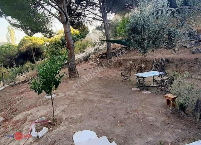 Dikili Kıroba Köyünde Satılık Zeytinlik Prefabrik Evli Mülk - Görsel 14