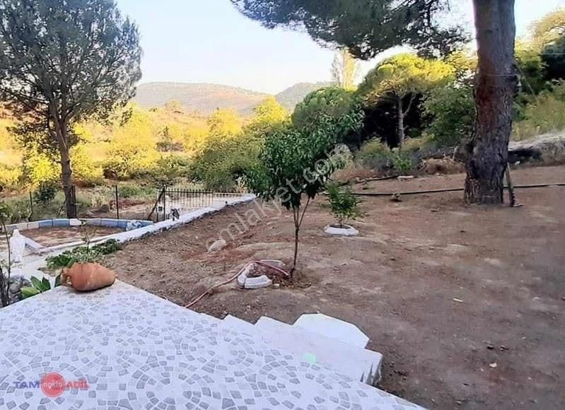 Dikili Kıroba Köyünde Satılık Zeytinlik Prefabrik Evli Mülk - Görsel 26