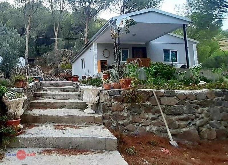 Dikili Kıroba Köyünde Satılık Zeytinlik Prefabrik Evli Mülk - Görsel 29