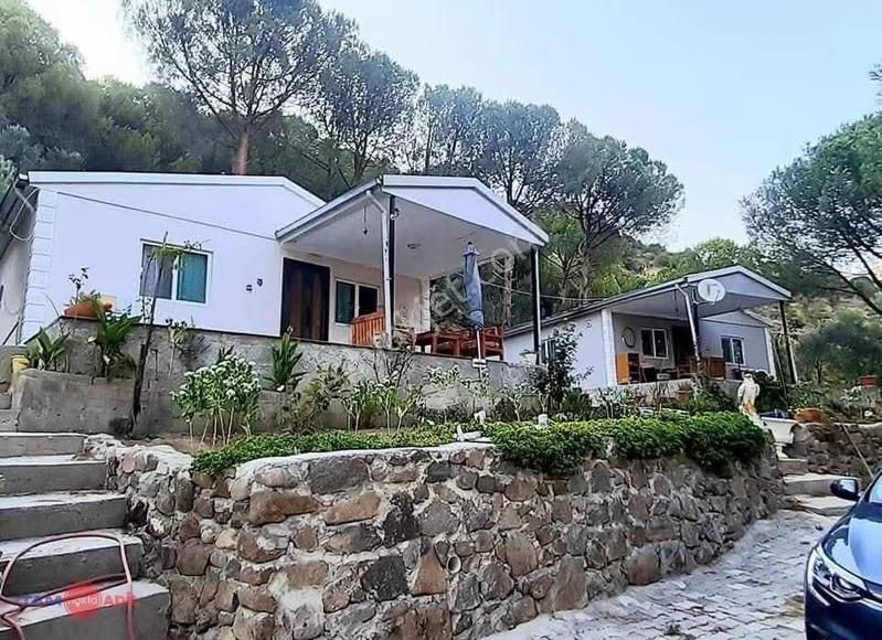 Dikili Kıroba Köyünde Satılık Zeytinlik Prefabrik Evli Mülk - Görsel 18