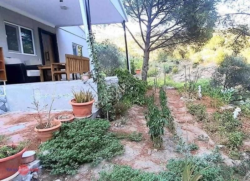 Dikili Kıroba Köyünde Satılık Zeytinlik Prefabrik Evli Mülk - Görsel 2
