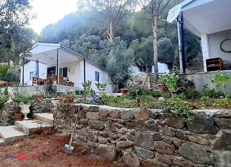Dikili Kıroba Köyünde Satılık Zeytinlik Prefabrik Evli Mülk - Görsel 27