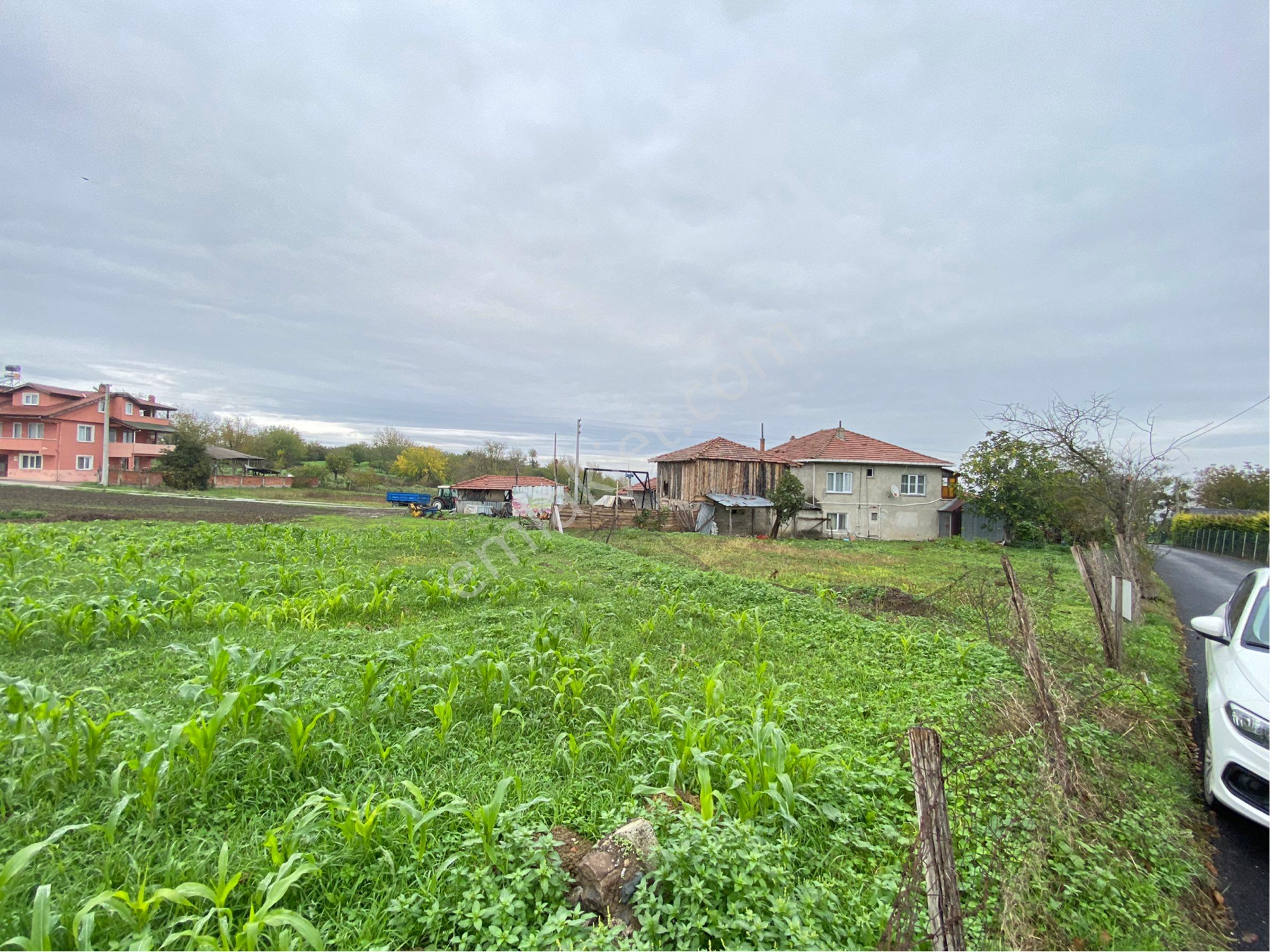 Serdivan Çubuklu Mah. 1172 M2 %40 İmarlı Resmi Yola Cepheli Satılık Arsa. Doğalgaz Alt Yapısı Mevcut - Görsel 3