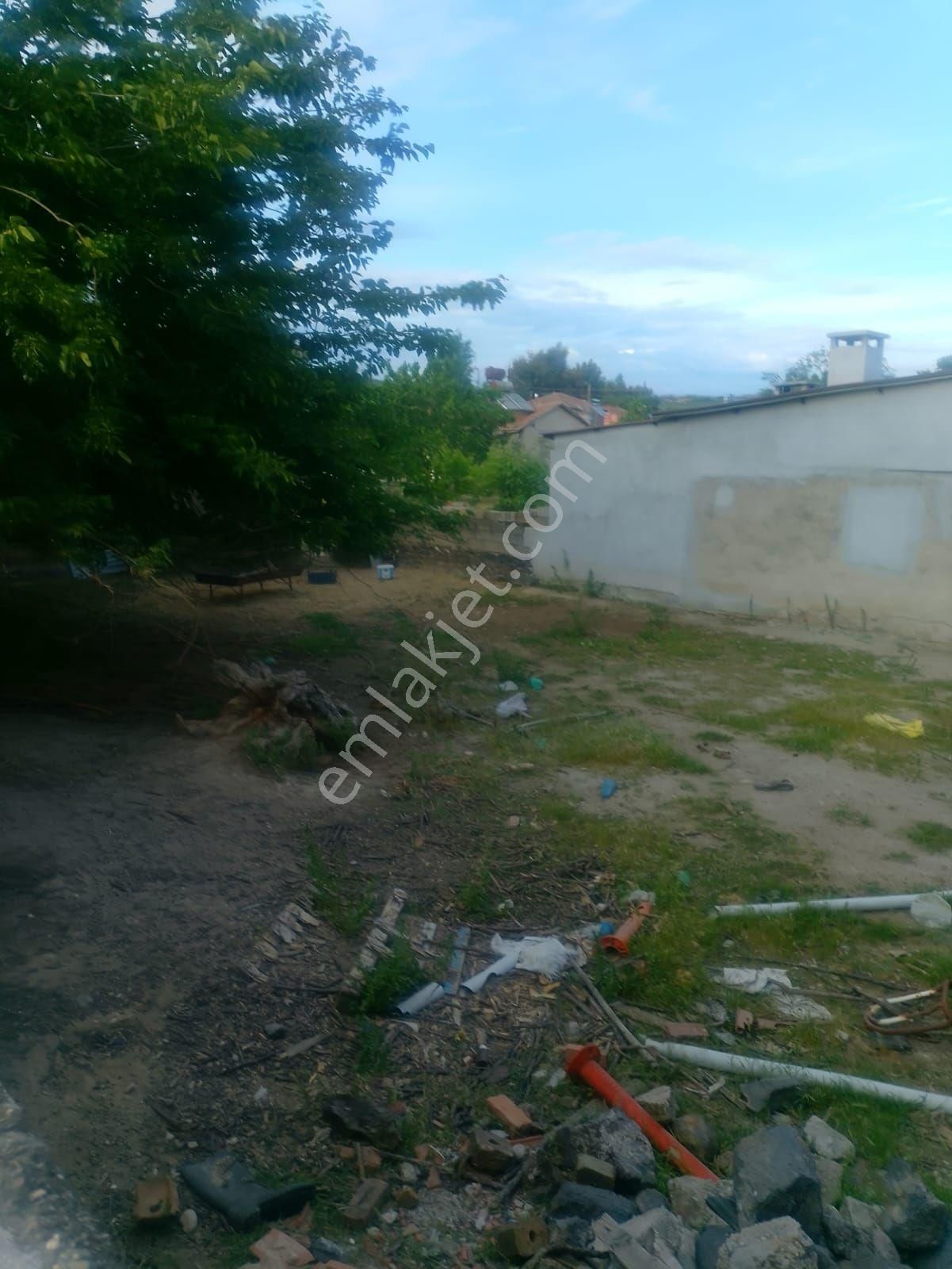 Manisa Salihli Poyraz Sat Zetinlik Ve Tarla