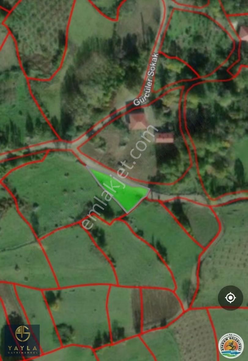Yayla Gayrımenkul Atakum Karakavuk'ta Yola Cephe Fırsat Tarla - Görsel 4