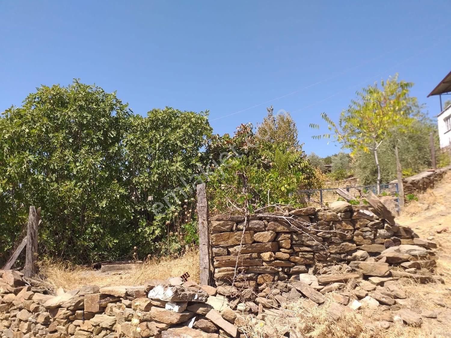 Aydın Nazilli Sürez(uzun Çam)köyü - Görsel 10