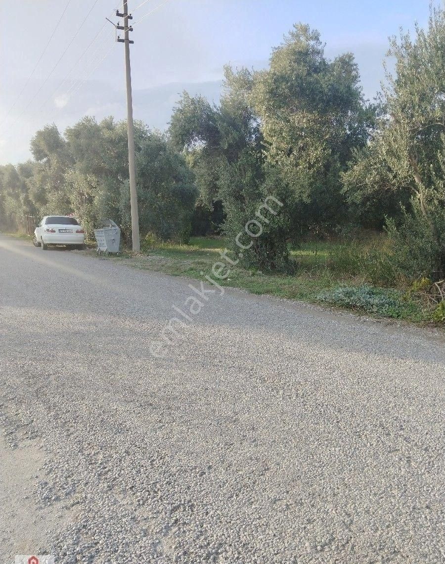 Muğla Ortaca Da Satilik Tarla - Görsel 23