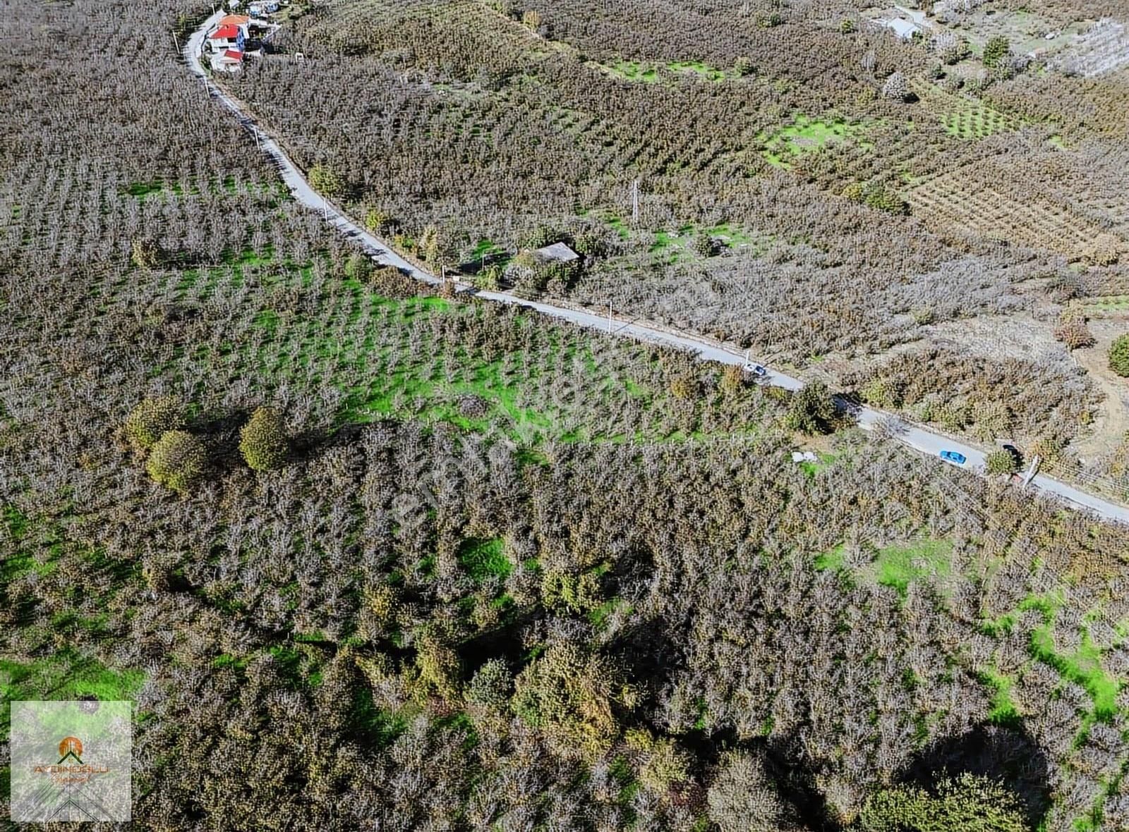 *** Full Deniz Manzaralı İmar Sınırında 2 Adet Fırsat Parsel *** - Görsel 5