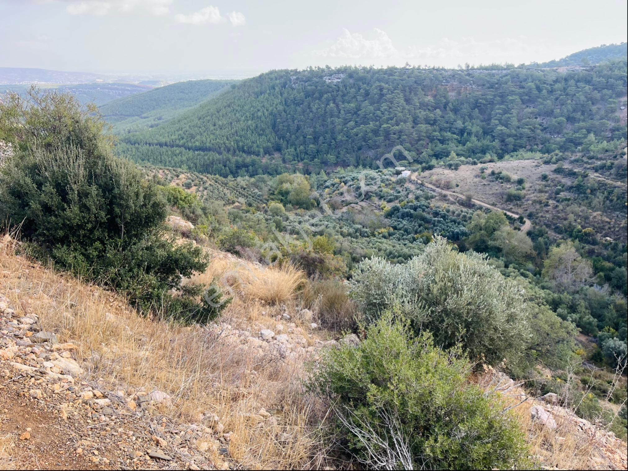 Türe Gayrimenkulden Silifke Çadırlıda Satılık Doğa Ve Şehir Manzaralı Arsa - Görsel 17