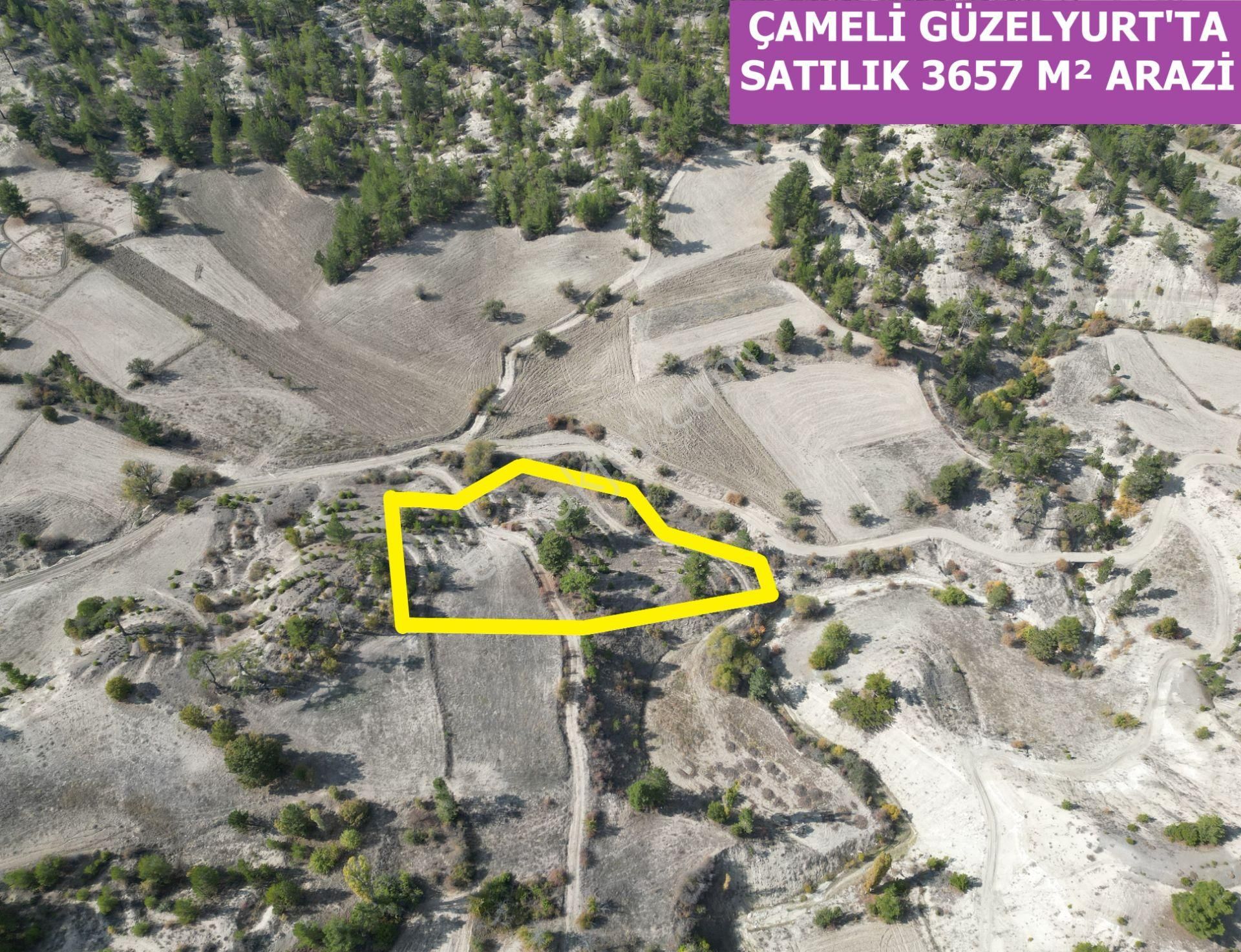 🦋lobby Fortis'ten Satılık Çameli Güzelyurt'ta 3657 M² Resmi Yolu Olan Arazi🦋