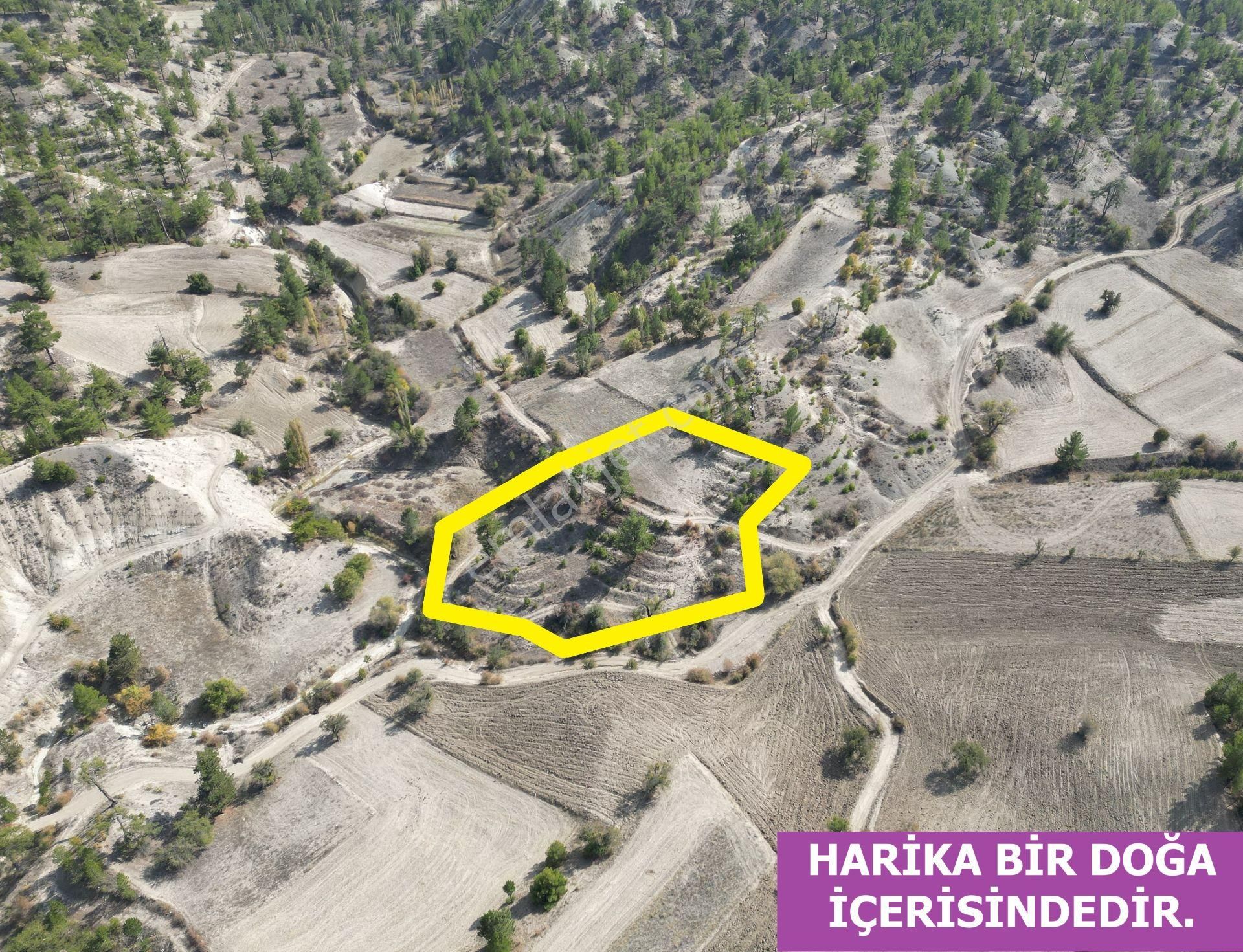 🦋lobby Fortis'ten Satılık Çameli Güzelyurt'ta 3657 M² Resmi Yolu Olan Arazi🦋 - Görsel 5