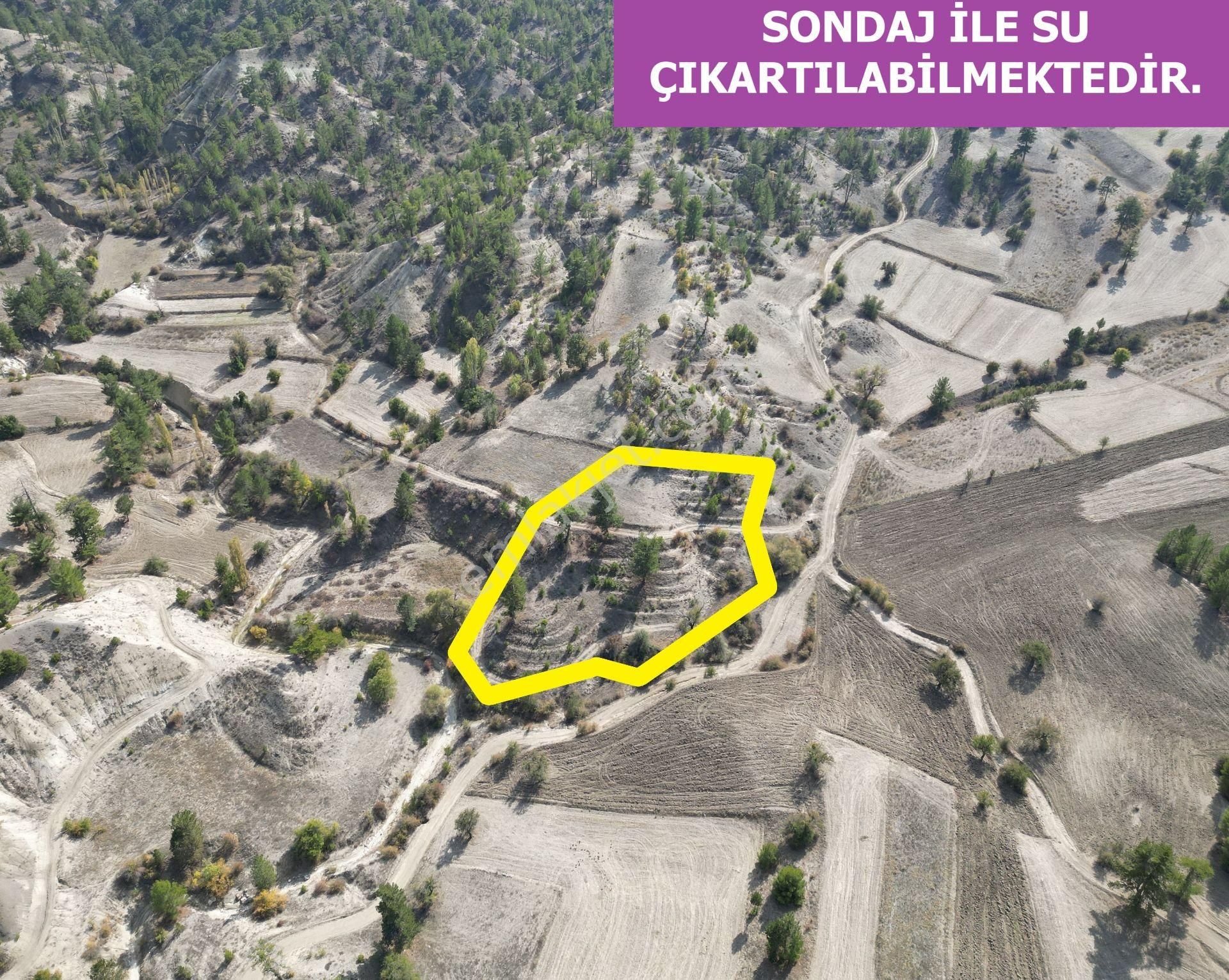 🦋lobby Fortis'ten Satılık Çameli Güzelyurt'ta 3657 M² Resmi Yolu Olan Arazi🦋 - Görsel 4