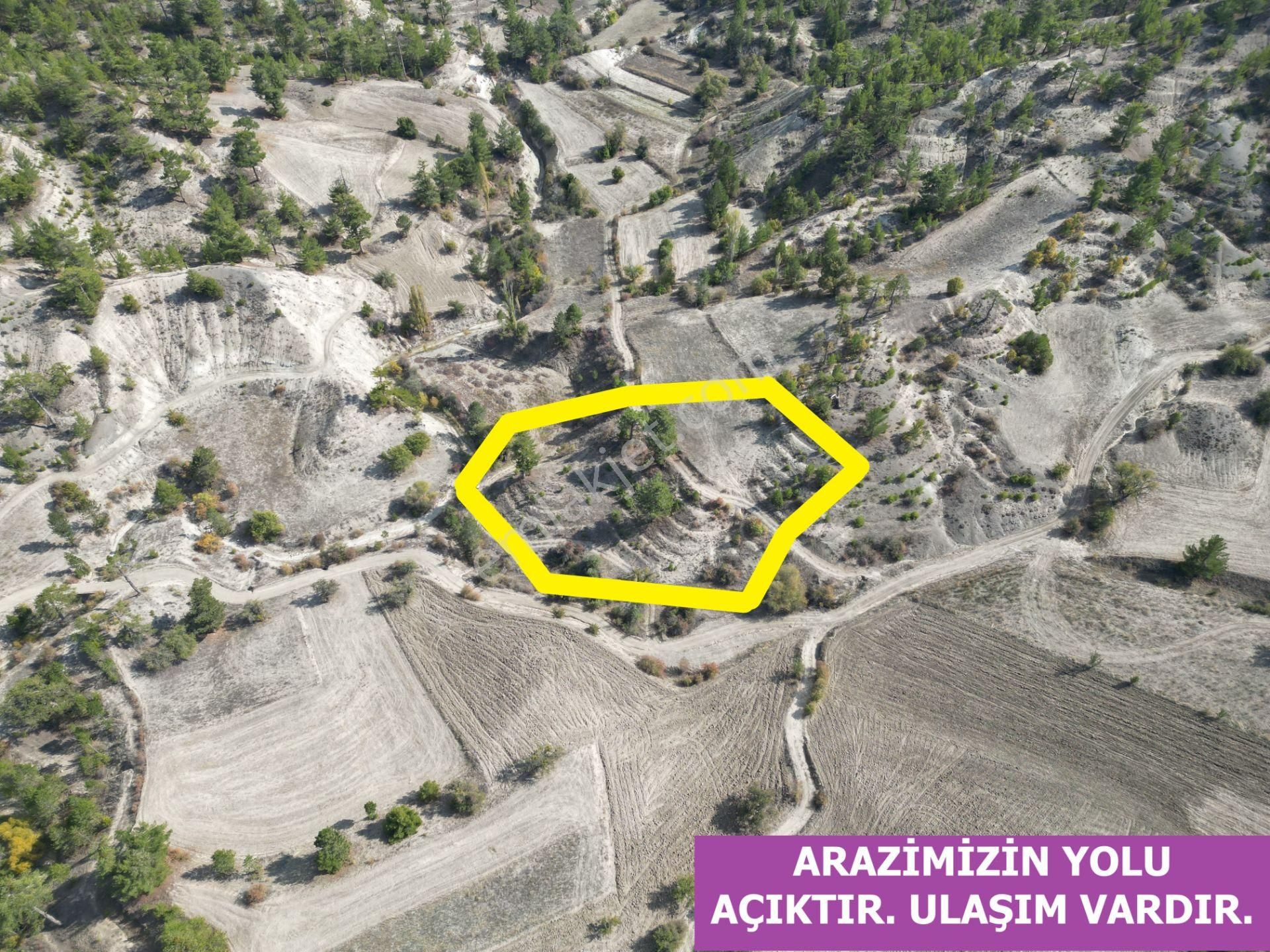 🦋lobby Fortis'ten Satılık Çameli Güzelyurt'ta 3657 M² Resmi Yolu Olan Arazi🦋 - Görsel 6