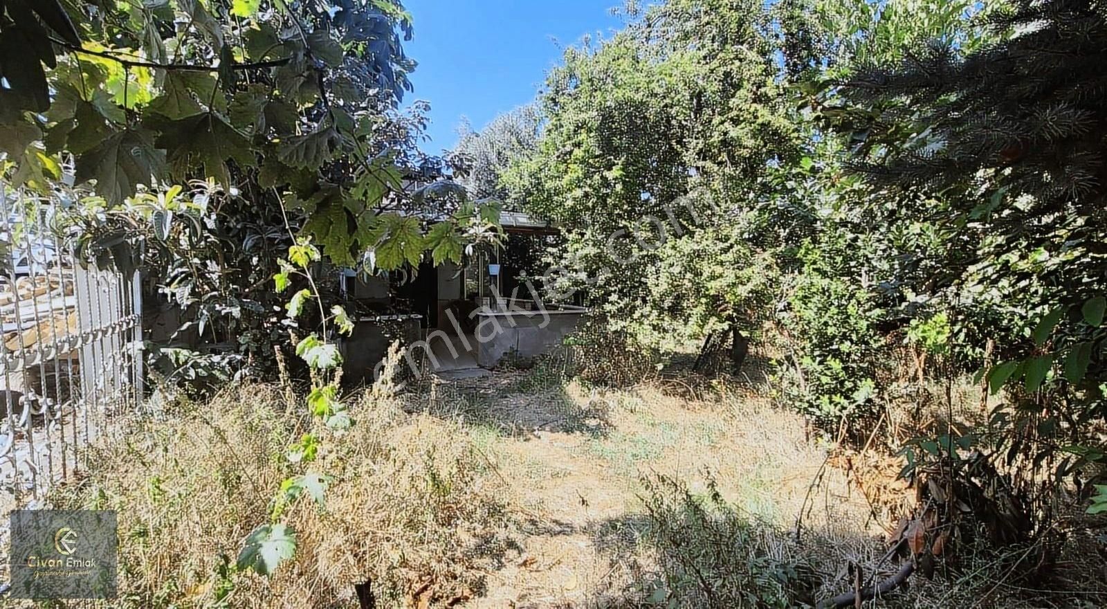 Civandan İncesuda İster Ticari İster Villalık Satılık Arsa - Görsel 2