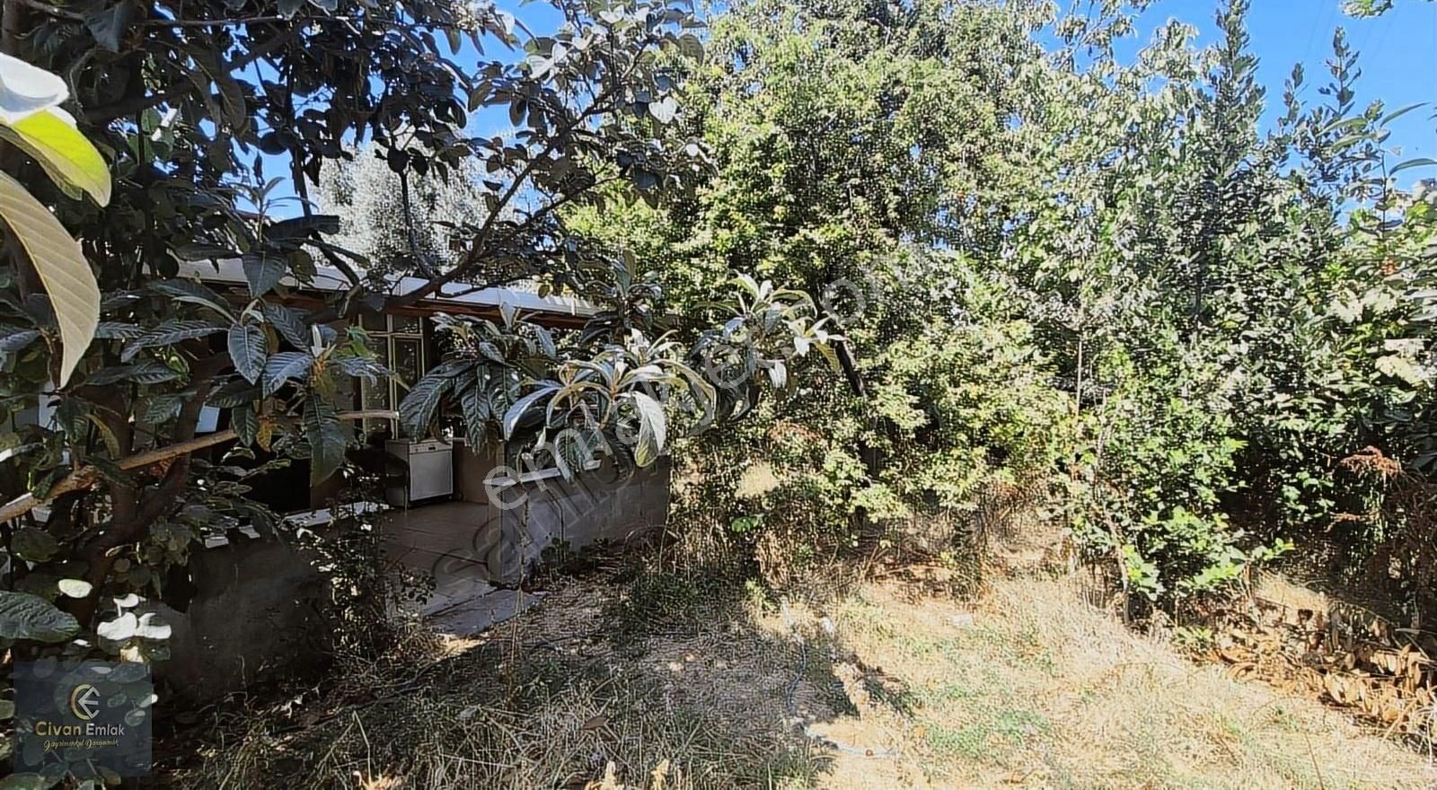 Civandan İncesuda İster Ticari İster Villalık Satılık Arsa - Görsel 19