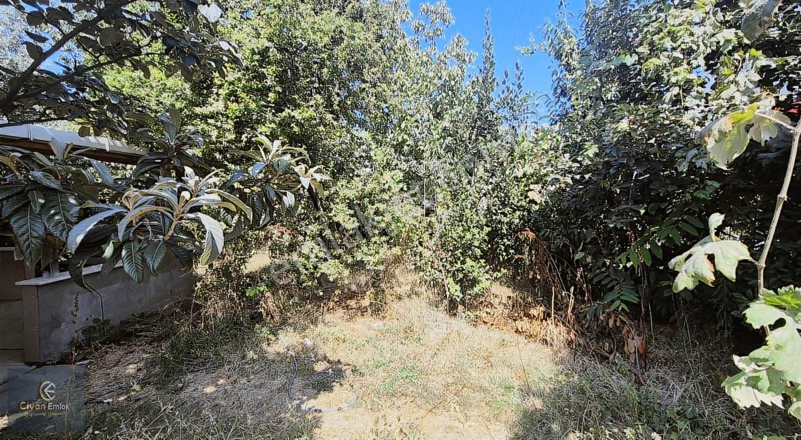 Civandan İncesuda İster Ticari İster Villalık Satılık Arsa - Görsel 5