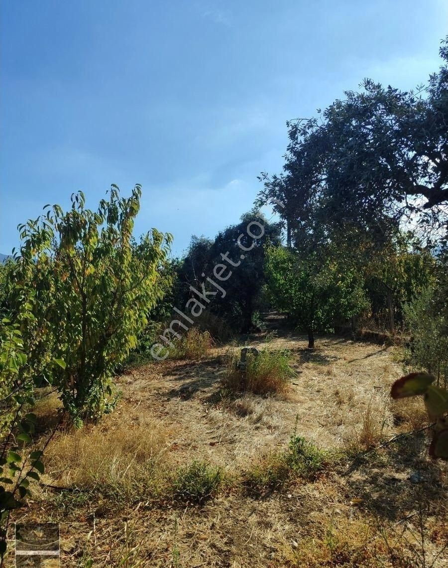 Kaya Emlak'tan Kemalpaşa Örnekköy Mahallesinde Ovada Acil Satılık 3,700m2 Bahçe - Görsel 4