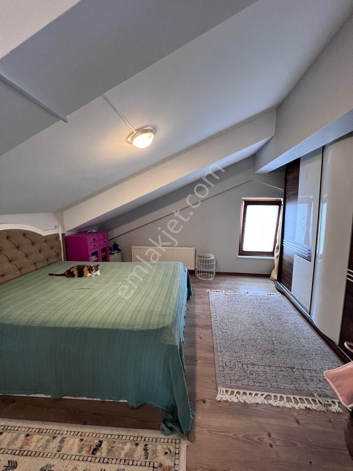 Tekirdağ Süleymanpaşa Namık Kemal Mahallesi Satılık 5+1 Villa - Görsel 16