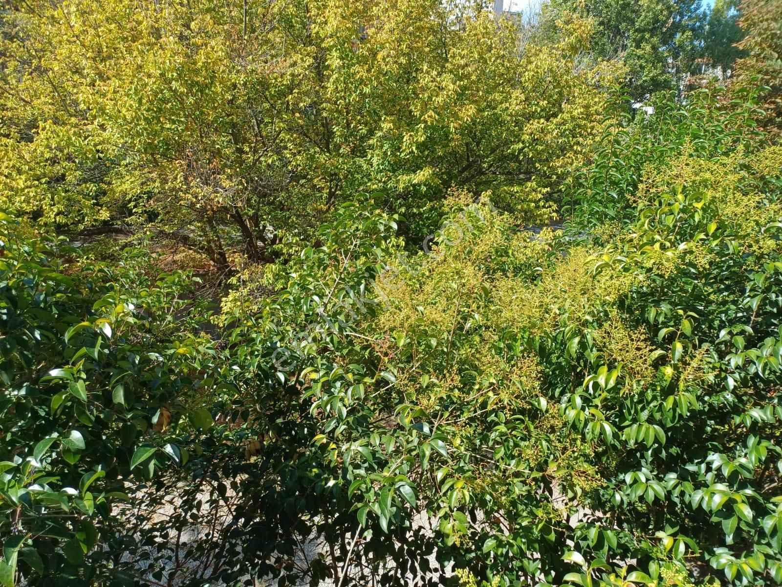 Gop Reşitgalip Caddesinde Kombili Otoparklı Katta Konuta İşyerine 3+1 Kiralık Daire - Görsel 16