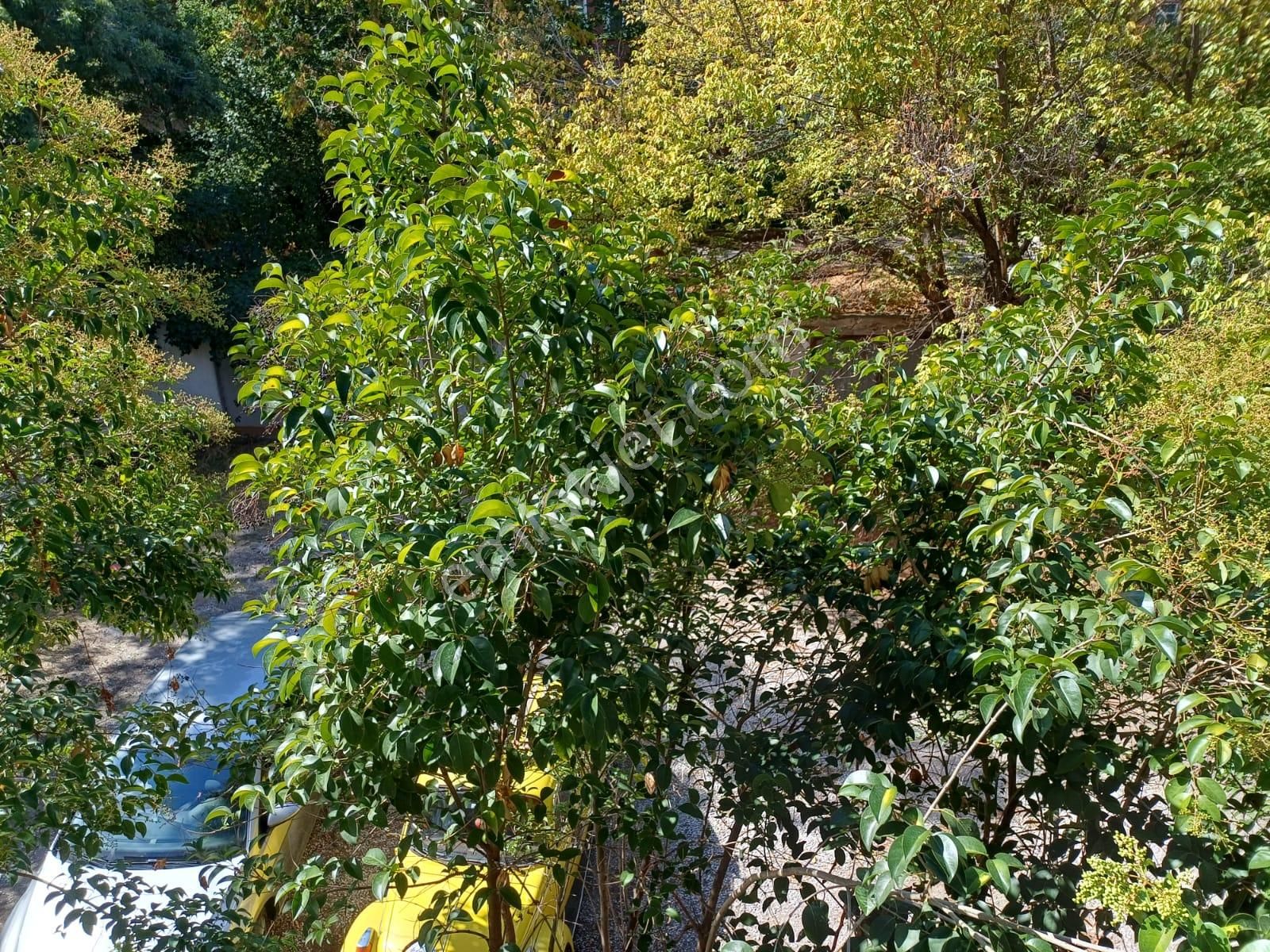 Gop Reşitgalip Caddesinde Kombili Otoparklı Katta Konuta İşyerine 3+1 Kiralık Daire - Görsel 21