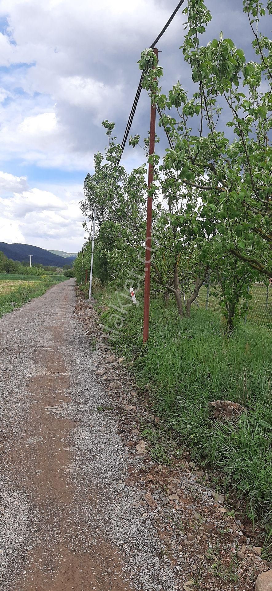 Alay Emlak Ofisinden Gölcükde Satılık Bahçe
