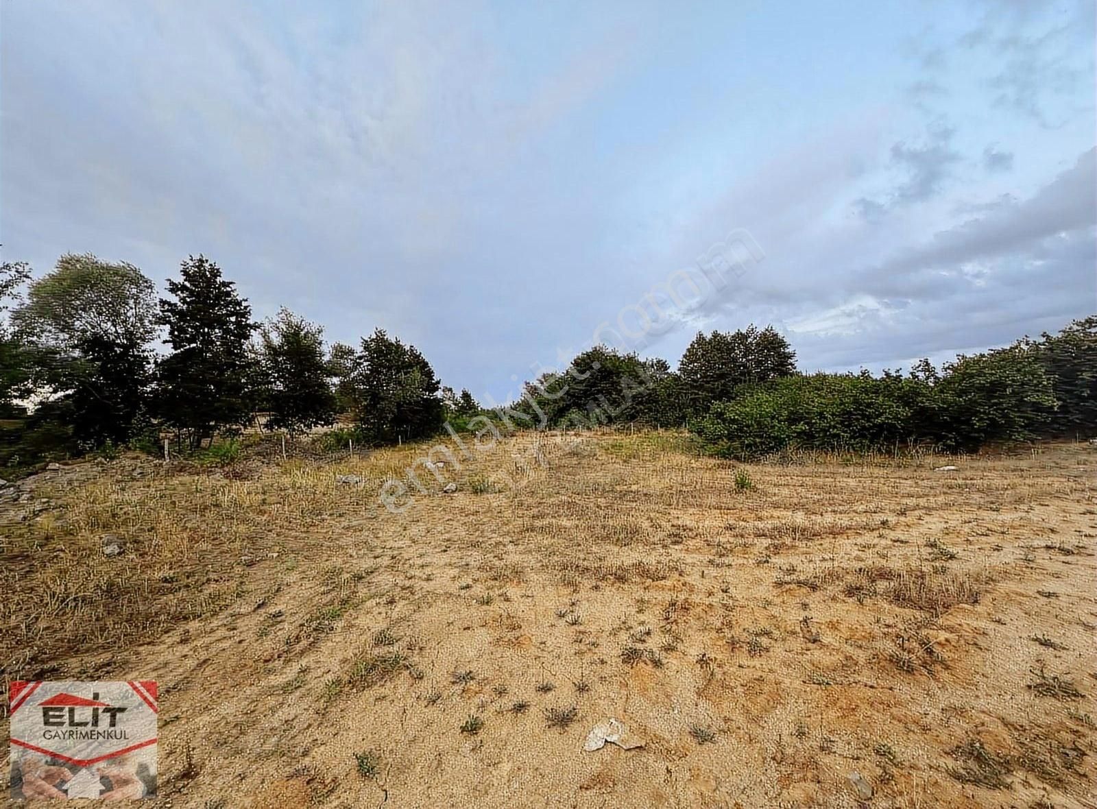 Sakarya'nın İncisi Karasuda Satılık Fırsat Tarla 4400 Metre² - Görsel 4