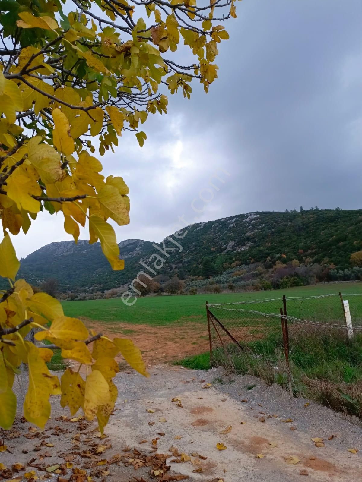 Muğla Yenice Mahallesi Satılık Tarla - Görsel 9