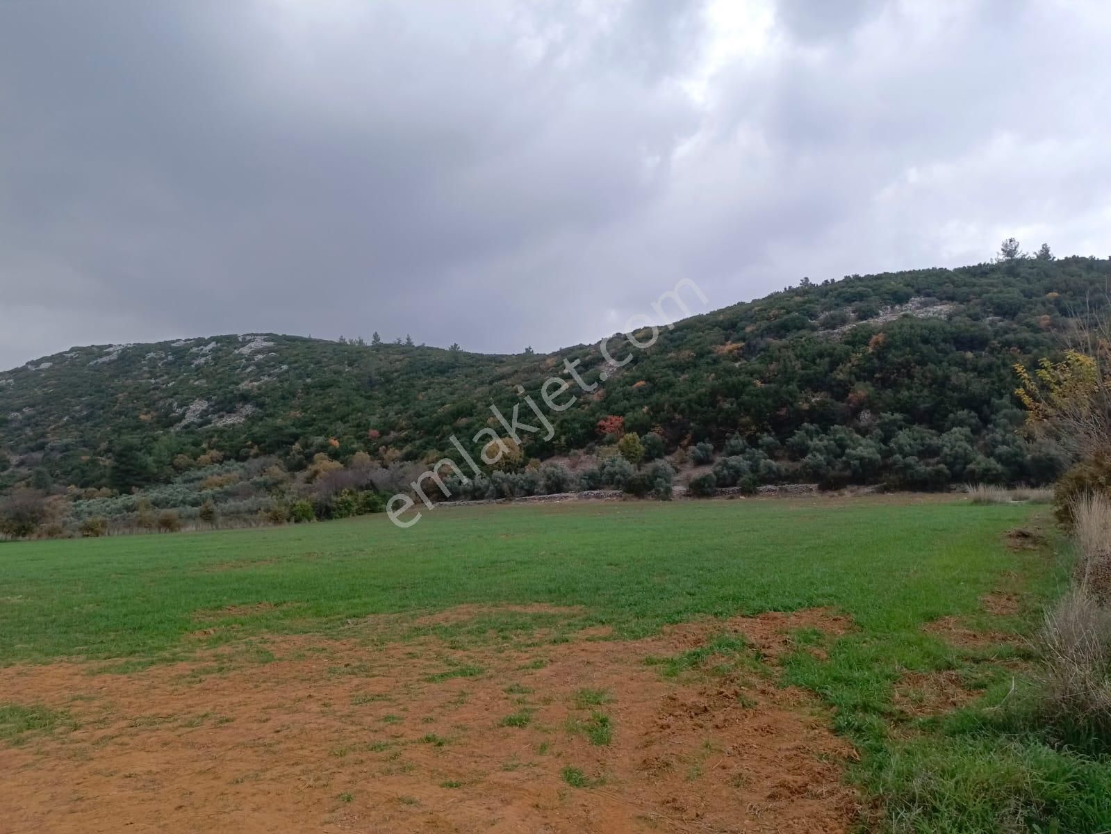 Muğla Yenice Mahallesi Satılık Tarla - Görsel 7