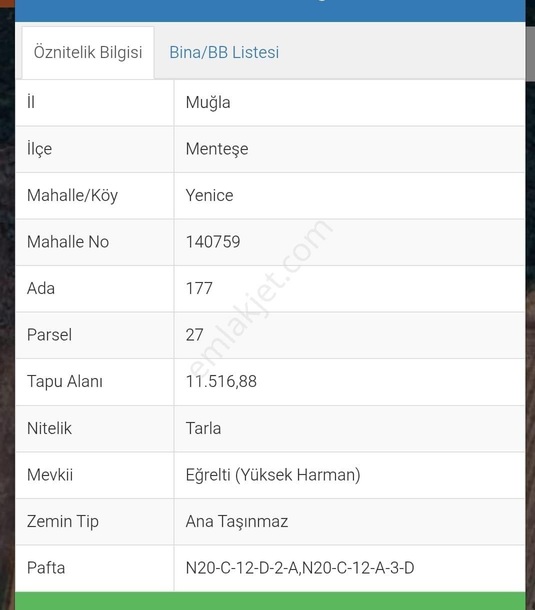 Muğla Yenice Mahallesi Satılık Tarla - Görsel 13