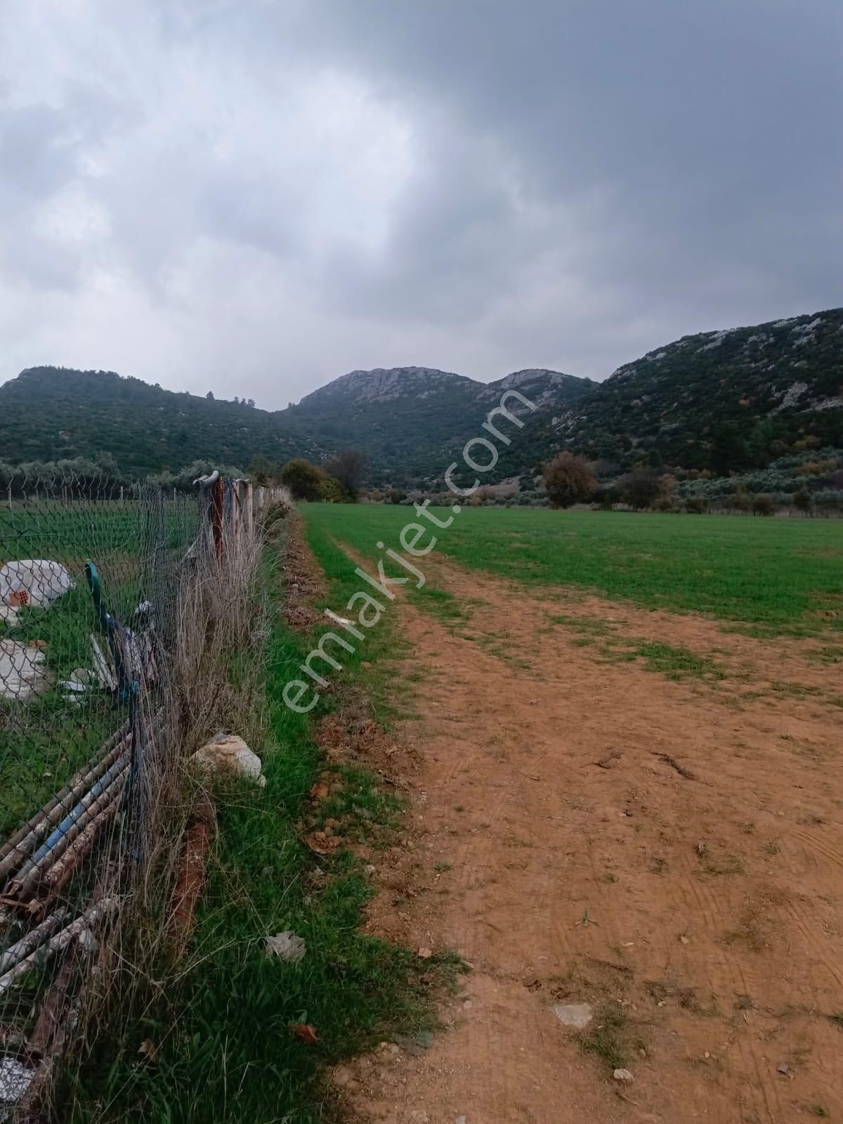 Muğla Yenice Mahallesi Satılık Tarla - Görsel 2