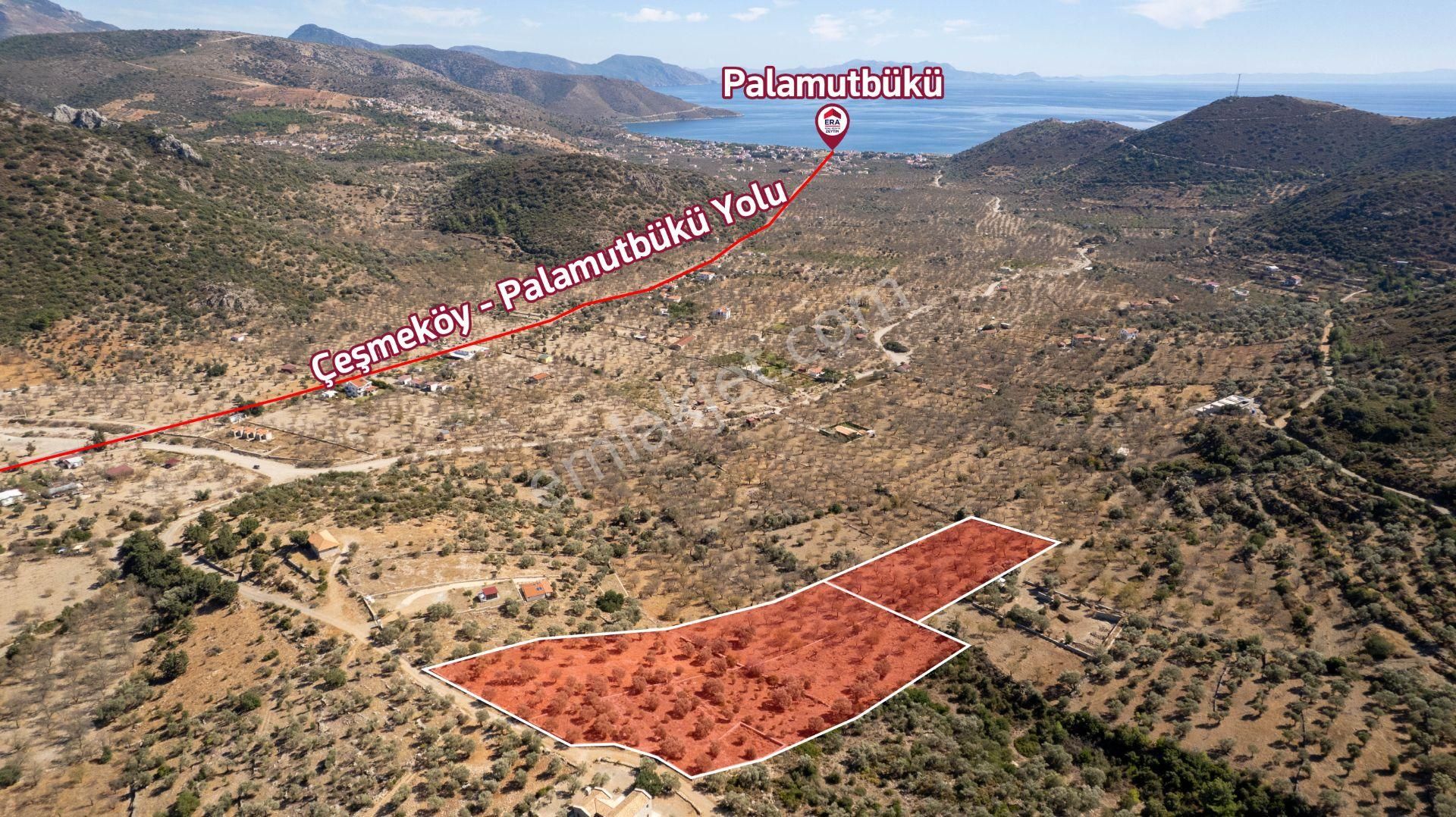 Datça Palamutbükünde 16.414 M2 Deniz Manzaralı İmarlı Arsa - Görsel 18