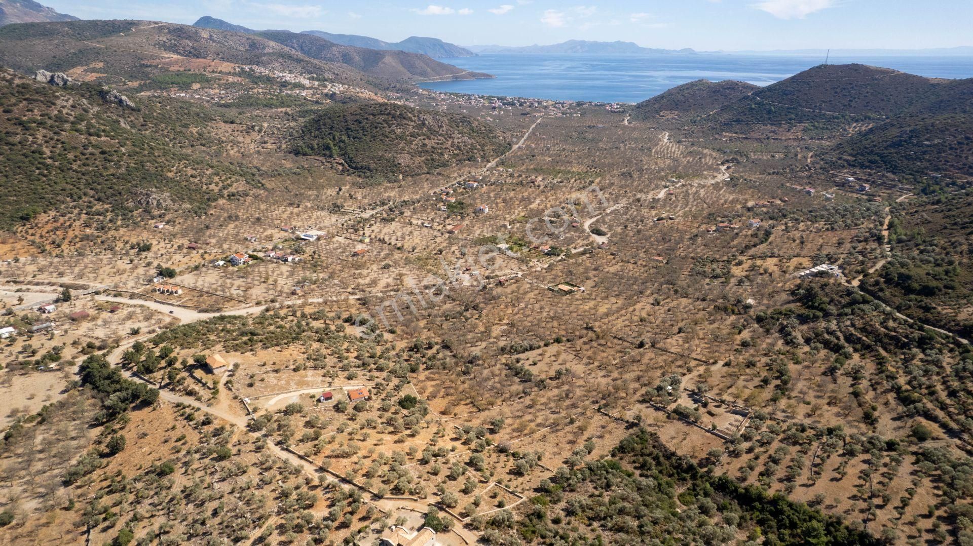 Datça Palamutbükünde 16.414 M2 Deniz Manzaralı İmarlı Arsa - Görsel 19