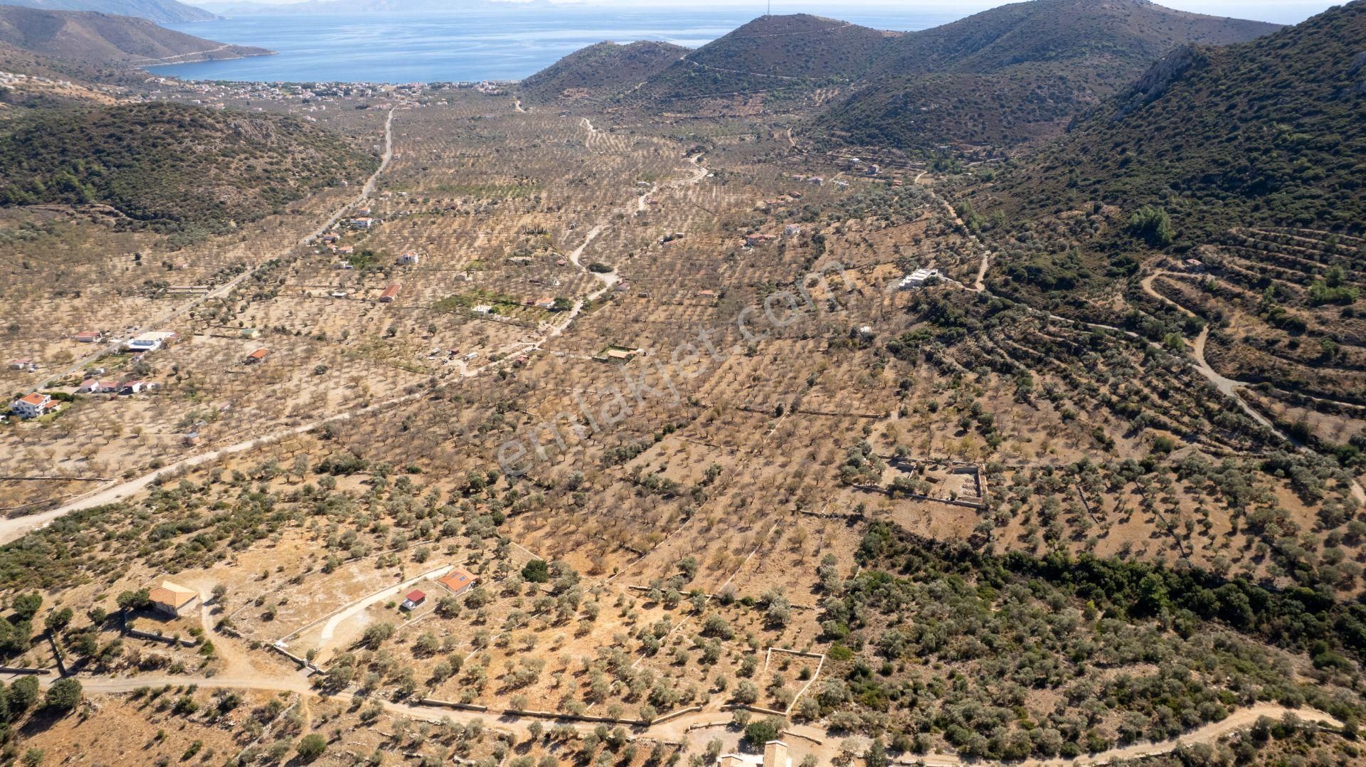 Datça Palamutbükünde 16.414 M2 Deniz Manzaralı İmarlı Arsa - Görsel 16