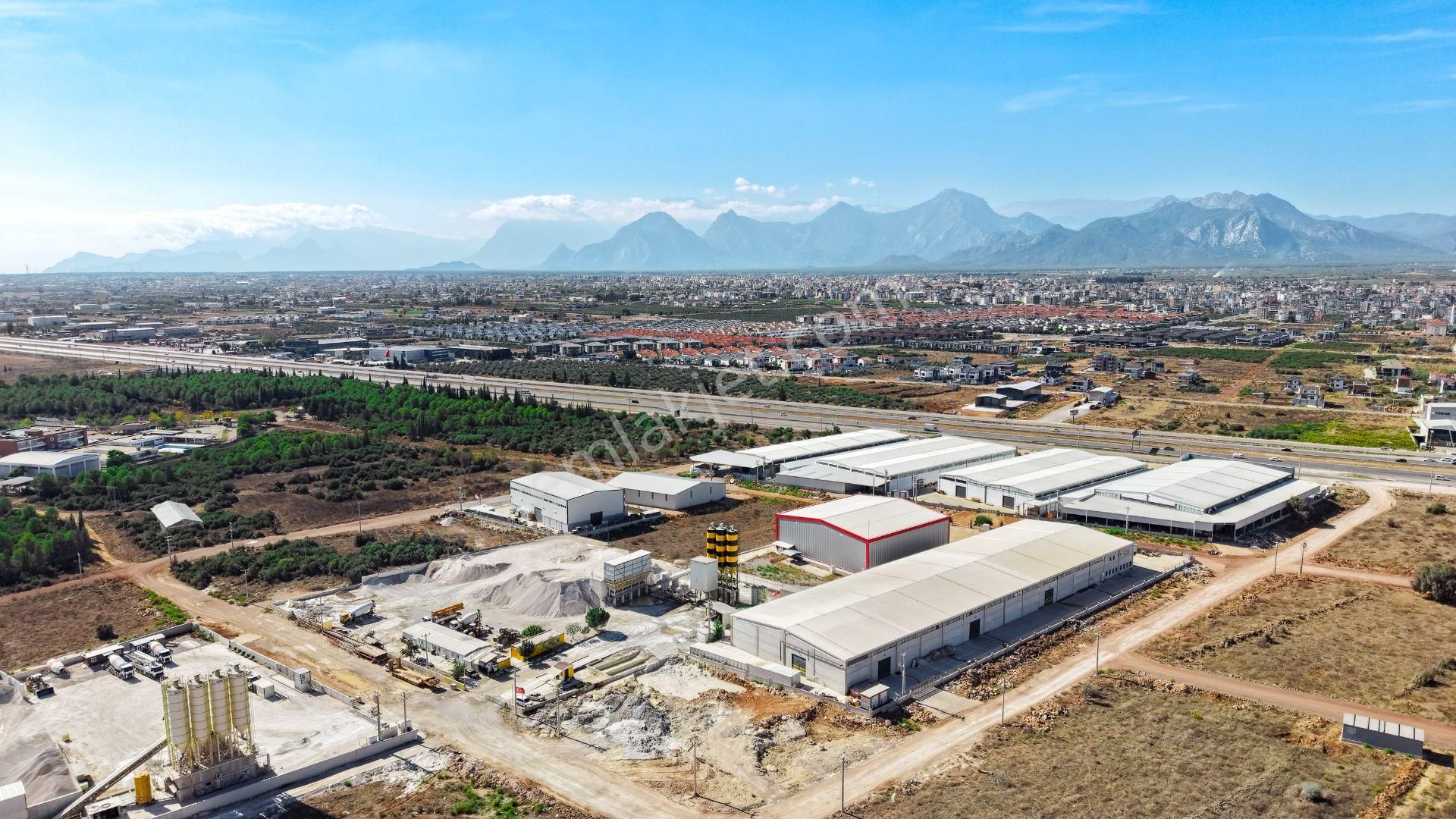 Akdeniz Bulvarına Bir Parsel Tam Ticari - Görsel 8