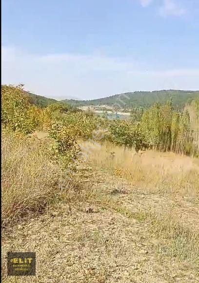 Öz Elit Gayrimenkulden Kestel Barajı Yanında Satılık Bahçe - Görsel 5