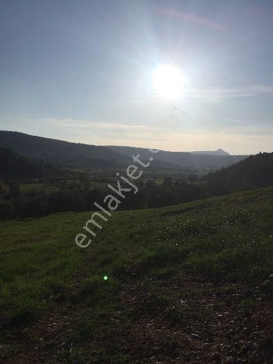 Muğla Menteşe Algı Da Satılık 5200 M² Tarla - Görsel 2