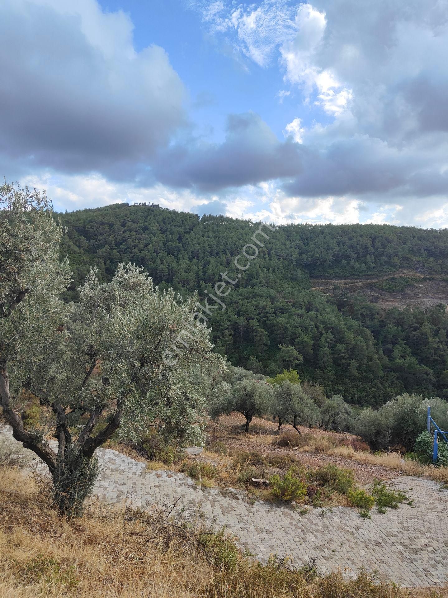 Bayındır Gayrimenkul - Bayındır Çamlıbel Mah Satılık Arsa - Görsel 4