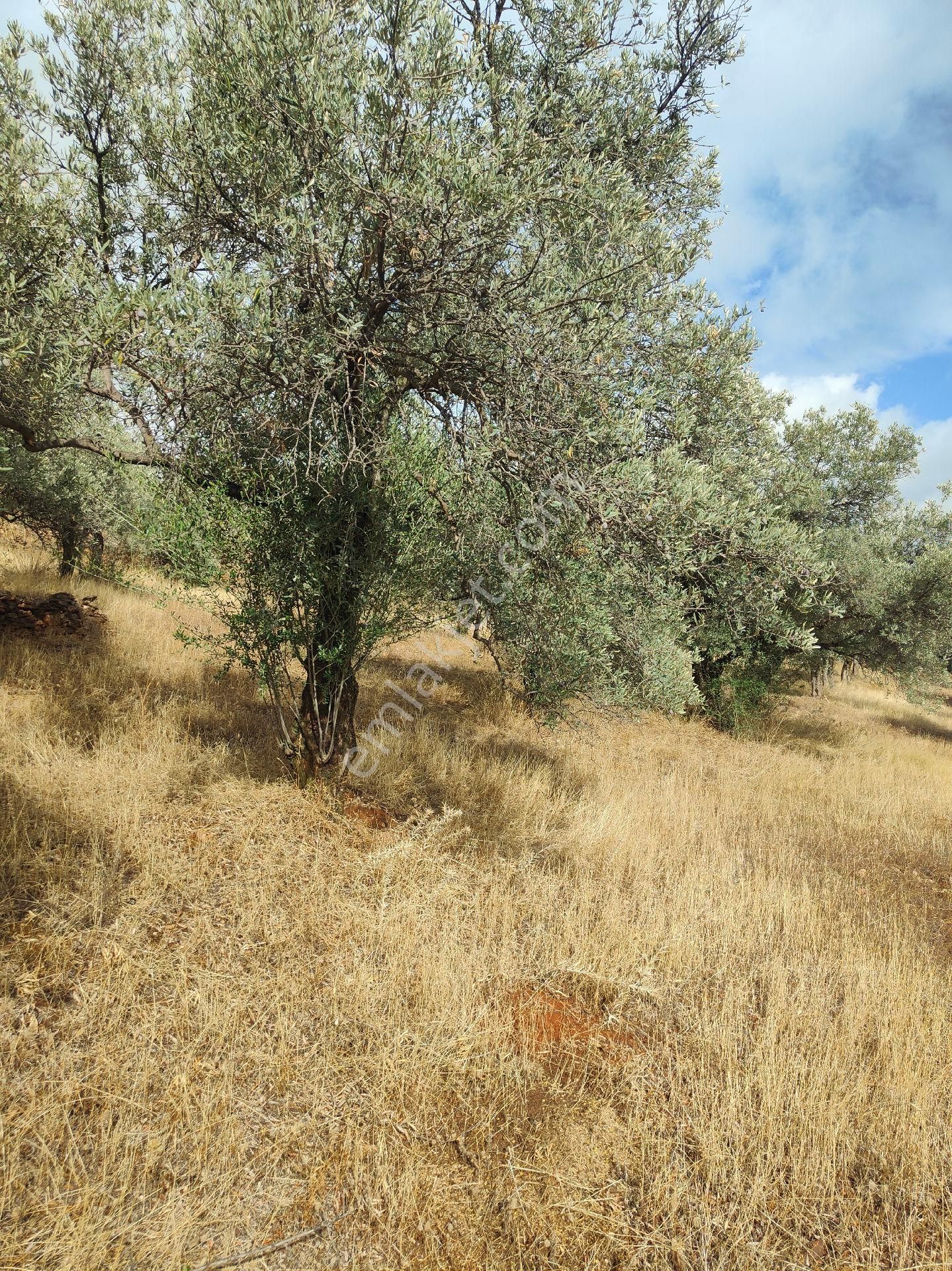 Bayındır Gayrimenkul - Bayındır Çamlıbel Mah Satılık Arsa - Görsel 10