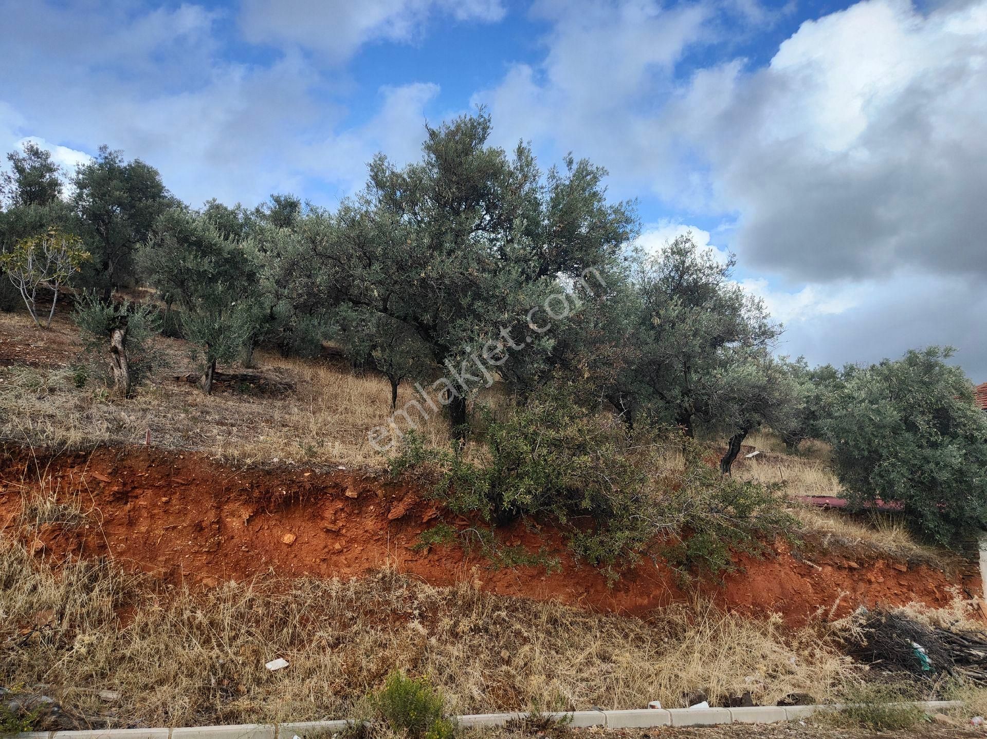 Bayındır Gayrimenkul - Bayındır Çamlıbel Mah Satılık Arsa - Görsel 5