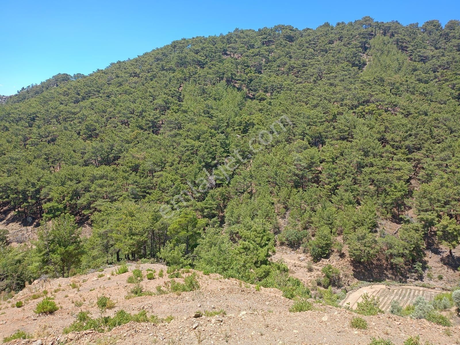 Locate'den İzmir Karabağlar Kavacık Köyünde Satılık Bağ - Görsel 15