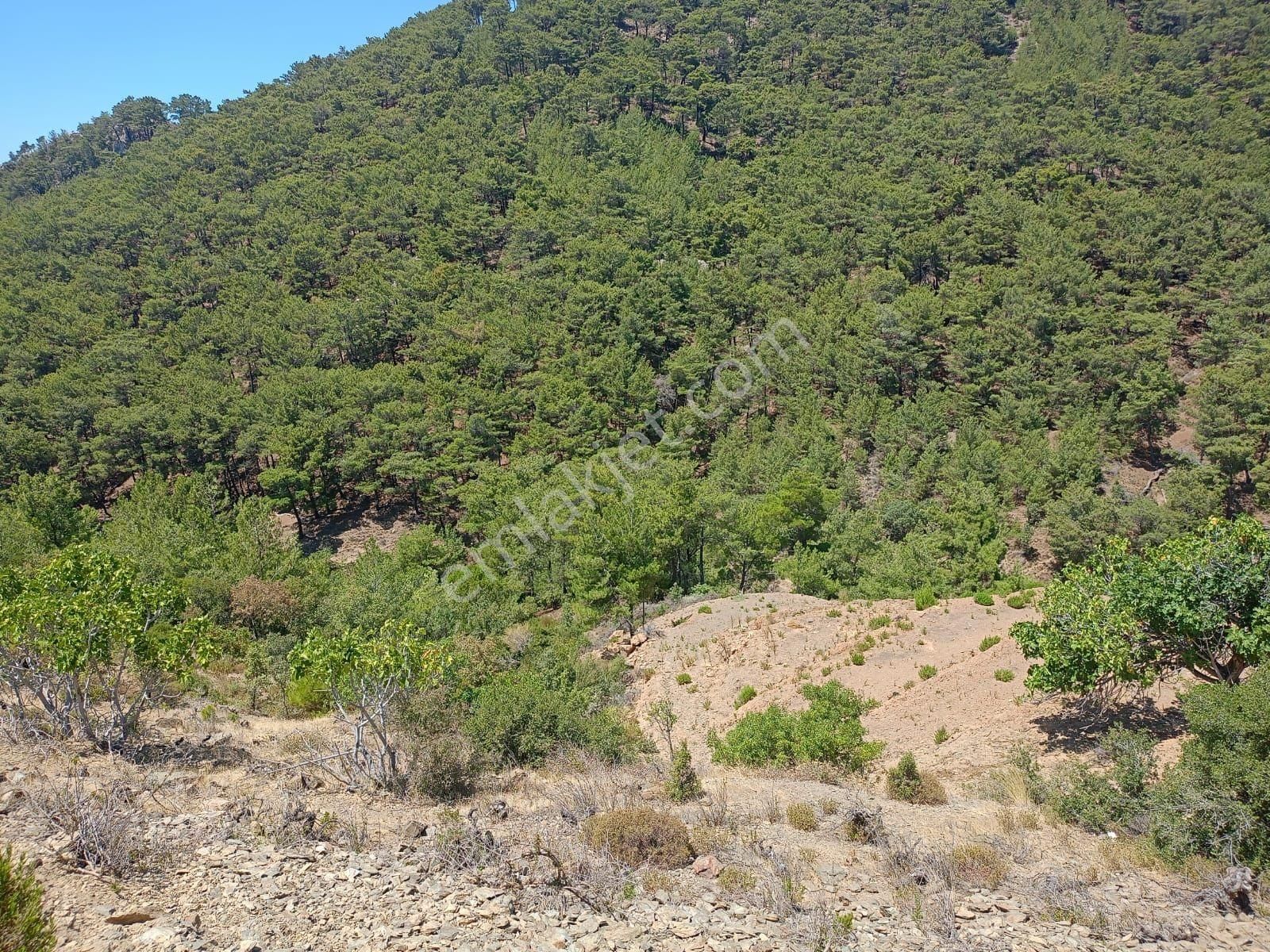 Locate'den İzmir Karabağlar Kavacık Köyünde Satılık Bağ - Görsel 8