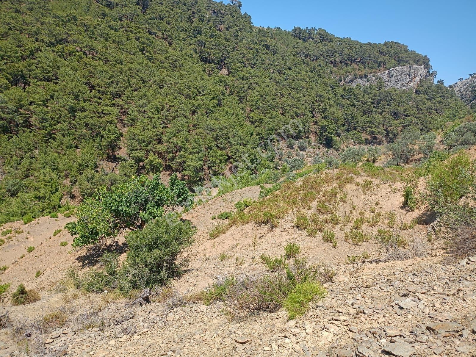 Locate'den İzmir Karabağlar Kavacık Köyünde Satılık Bağ - Görsel 11