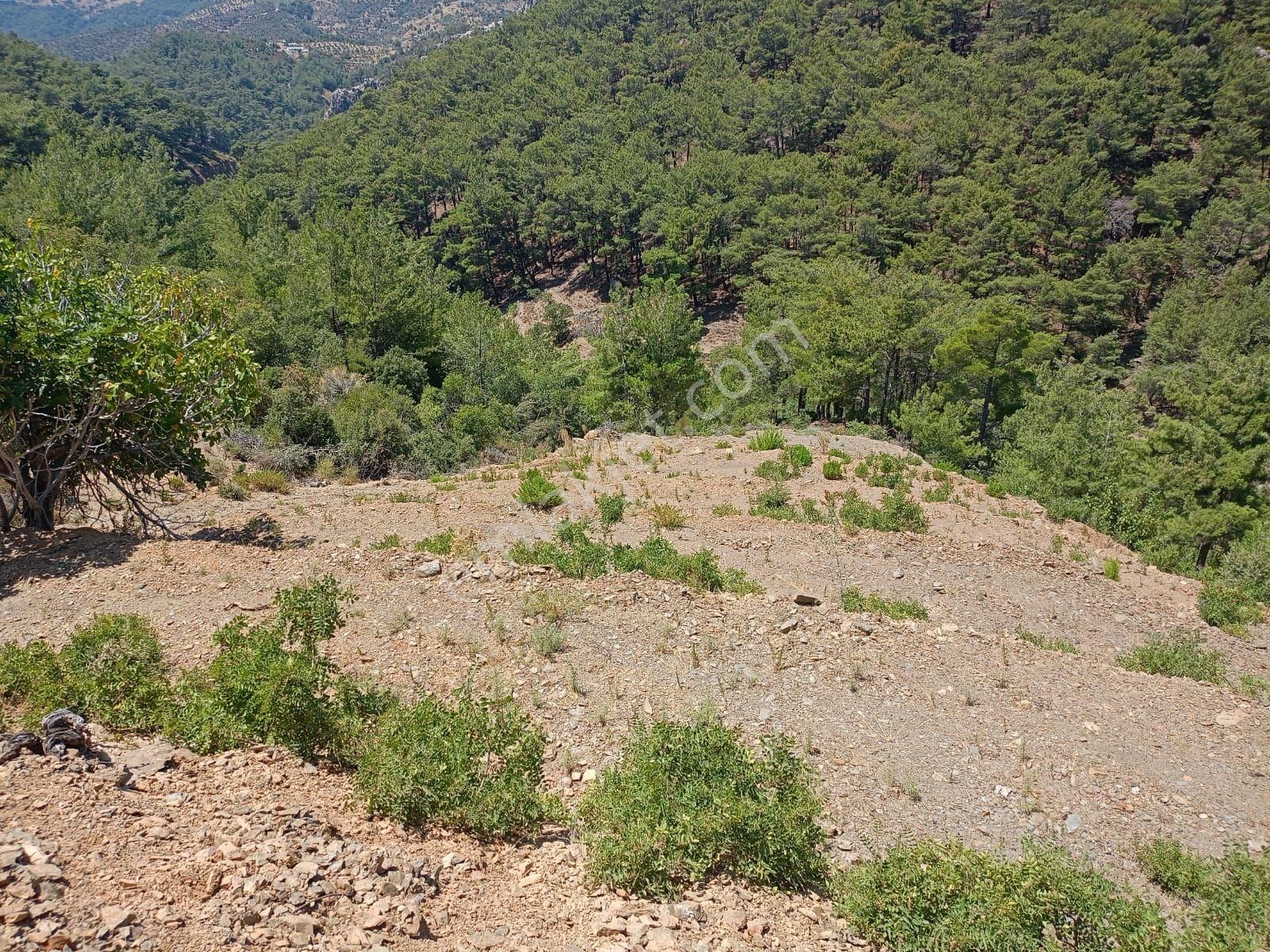 Locate'den İzmir Karabağlar Kavacık Köyünde Satılık Bağ - Görsel 10