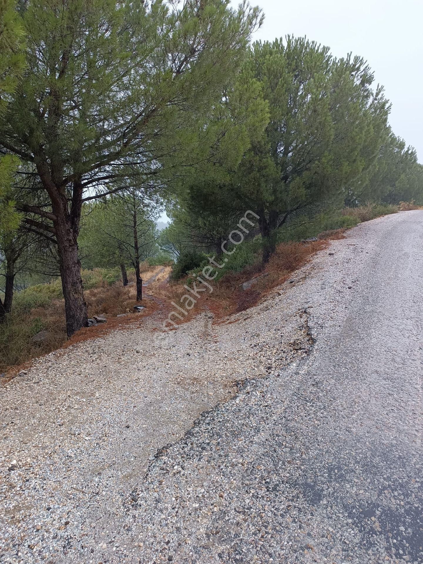 Bayındır Gayrimenkul - Bayındır Çamlıbel Mah Satılık Tarla