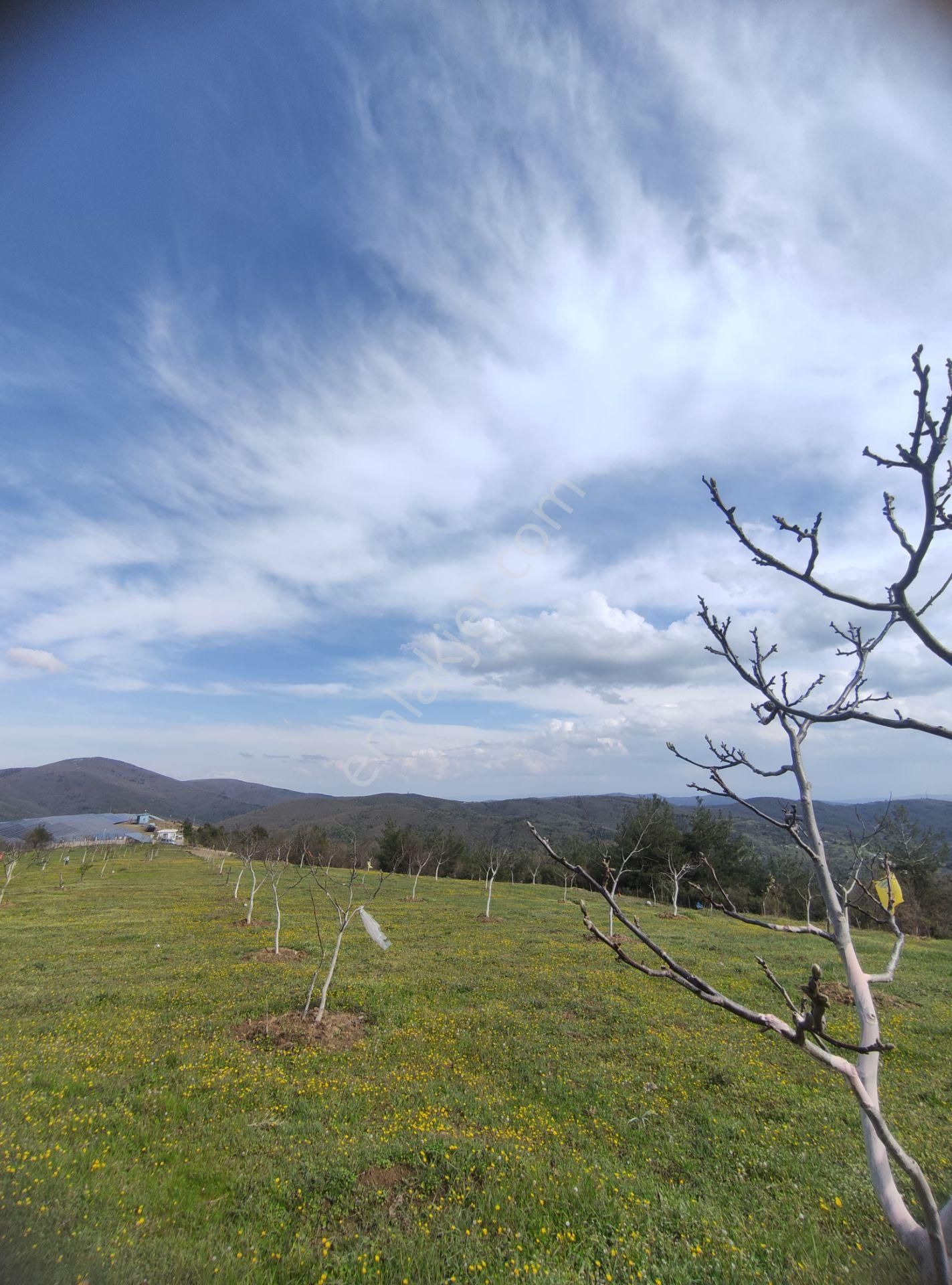 Nilvest'ten Bursa Kestel Ağlaşan Köyünde 20 Dönüm Arazi - Görsel 4