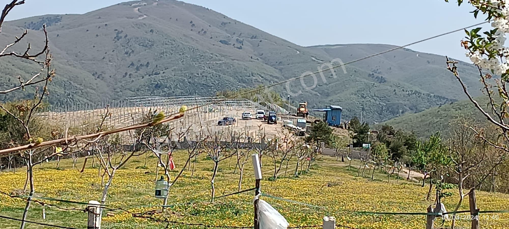 Nilvest'ten Bursa Kestel Ağlaşan Köyünde 20 Dönüm Arazi